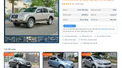 phucvietauto-website-frontend-1